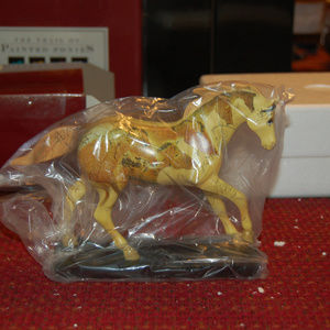 Trail of Painted Ponies - Running w/ the Ancestors